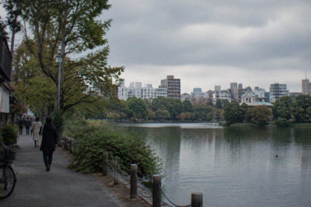 A large pond surrounded by trees with a city skyline behind it in a Japanese park