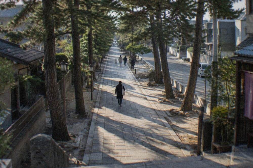 A quiet shrine approach road in eastern Fukuoka lined with trees and low buildings
