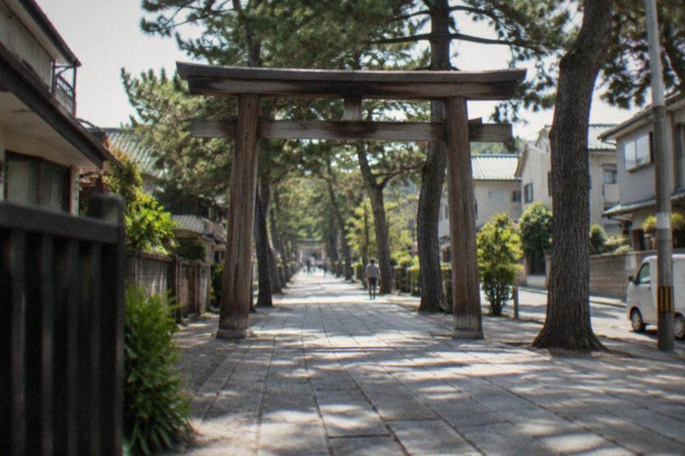 A large wooden torii gate standing over a paved shrine approach with trees on both sides