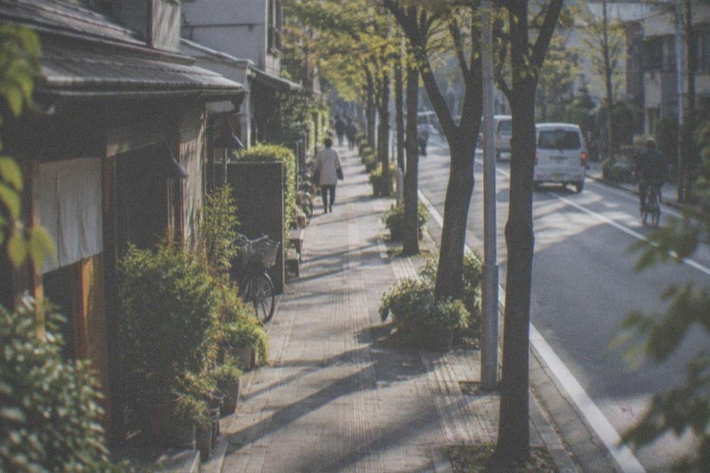 A tree-lined sidewalk in Imaizumi with small shop signs and parked bicycles in soft afternoon light