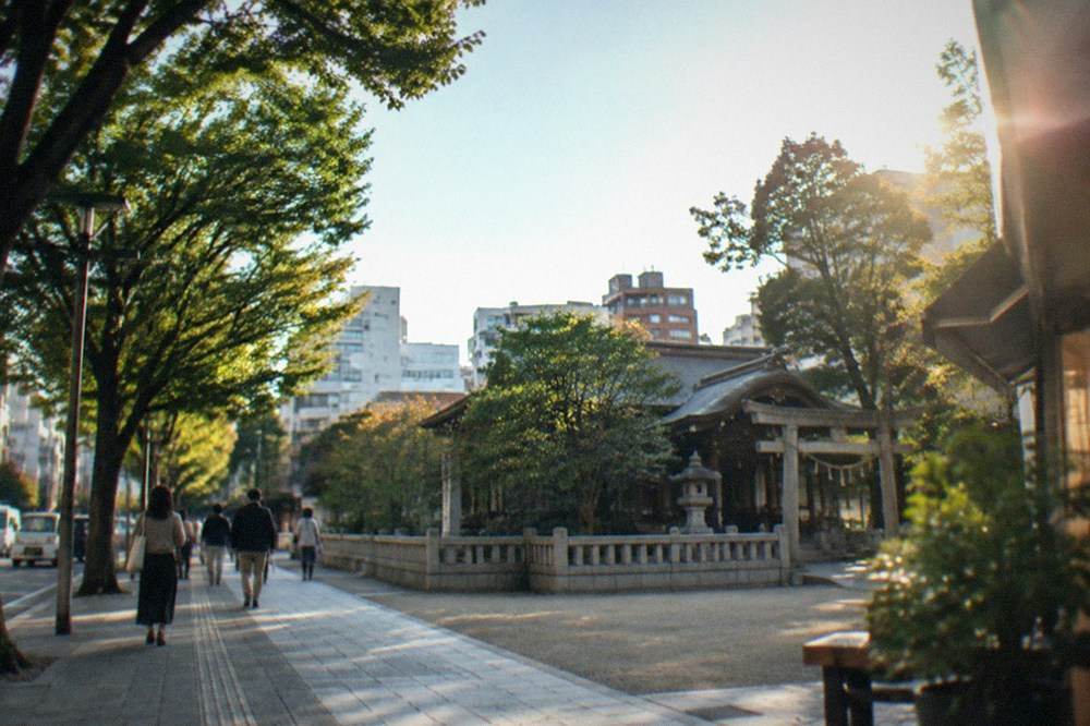 An avenue of mature trees along a city street with pedestrians walking in shade