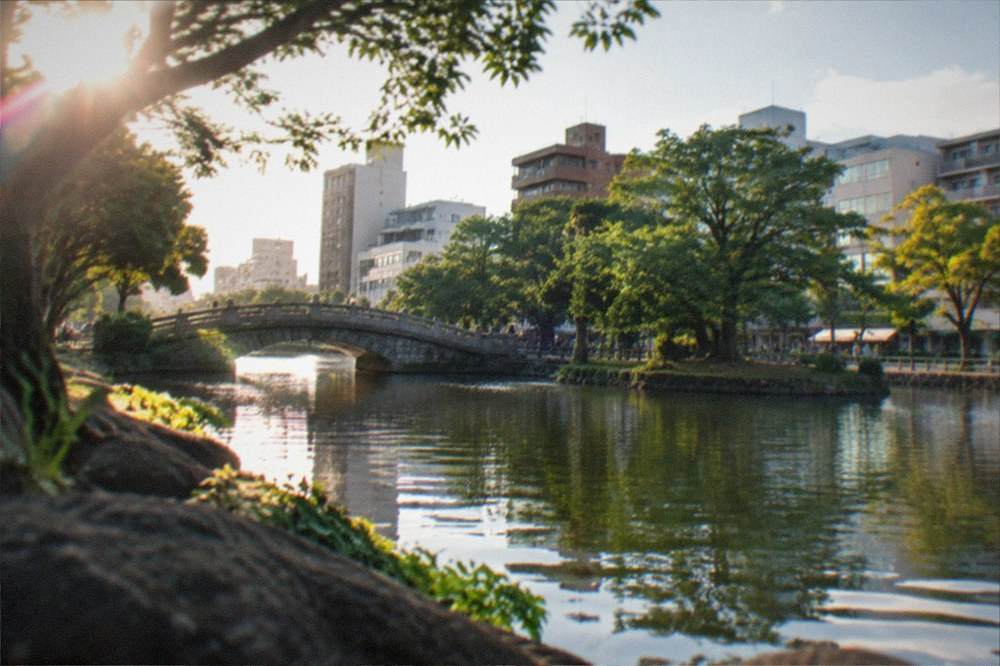 A pond surrounded by trees with a stone bridge and city buildings beyond the park edge