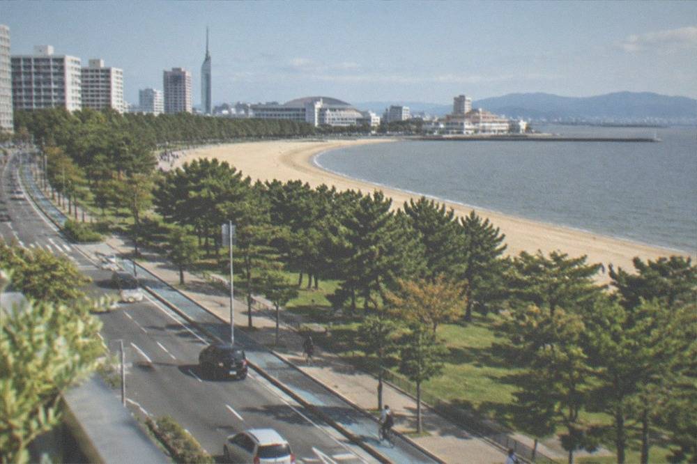 A quiet waterfront road with a cycle lane running beside a long park and calm bay water