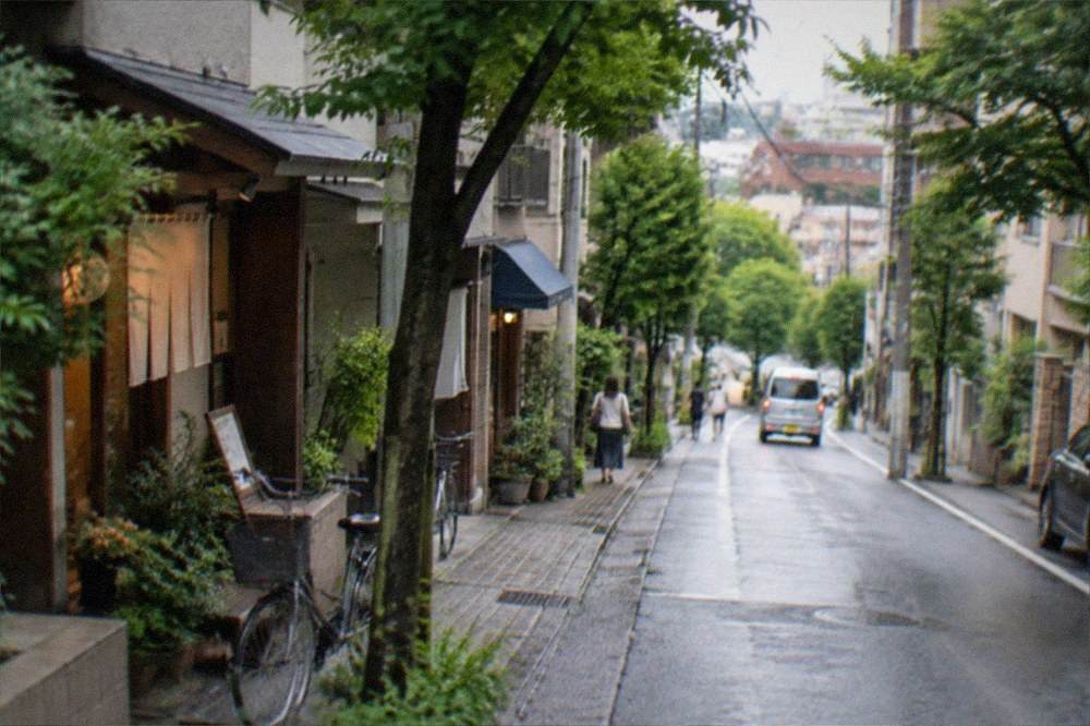 A residential street with small shops and leafy trees lining the pavement