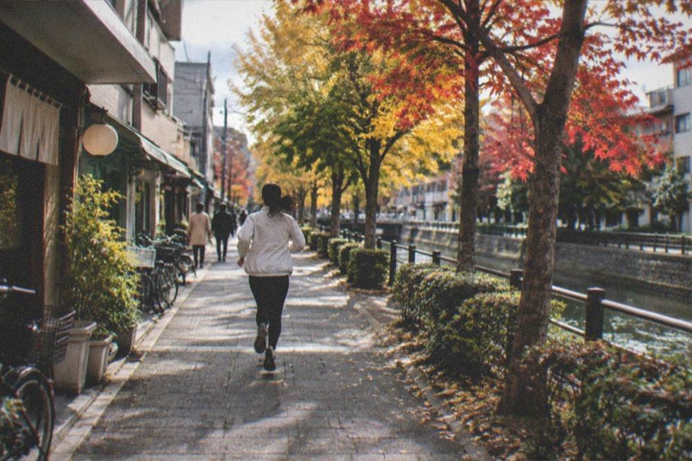A tree-lined street in autumn with small shops and parked bicycles