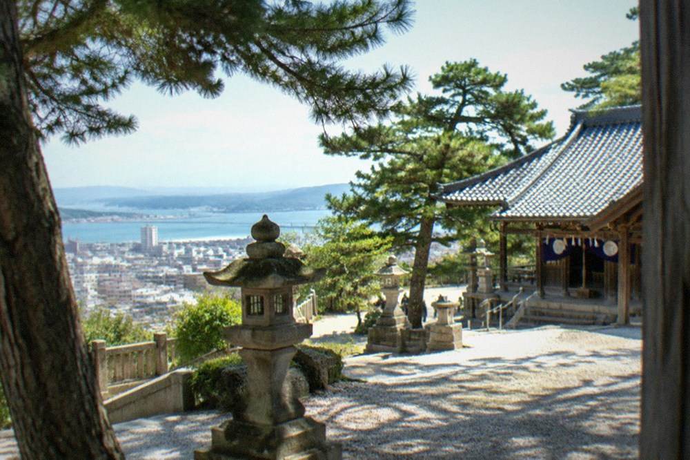 A wooden shrine hall with a tiled roof seen through trees on a hilltop clearing