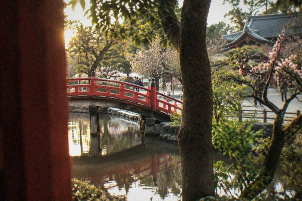 Arched wooden bridge over a pond beside a shrine, seen through trees