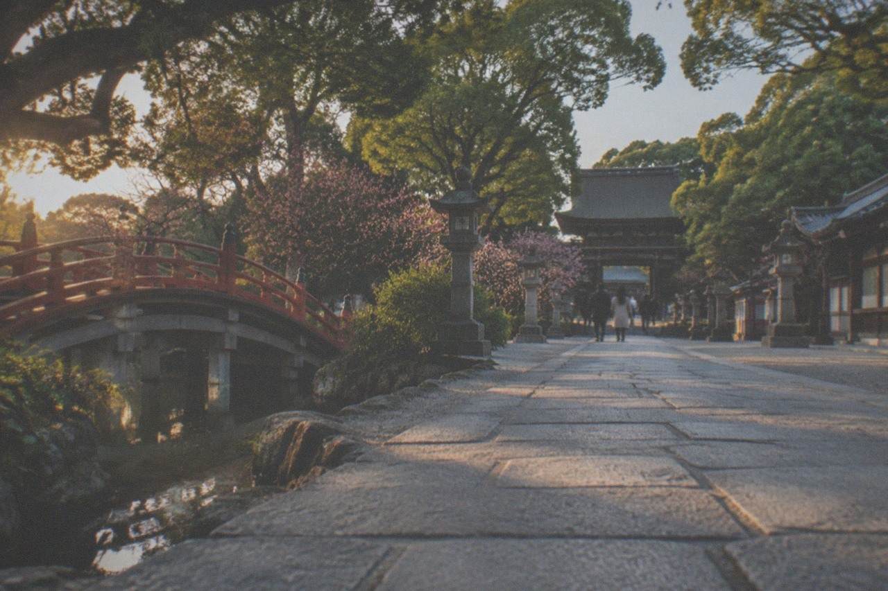 Long approach to a shrine gate lined with stone lanterns and trees