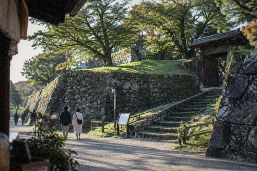 Large stone wall foundation with trees growing above the ramparts