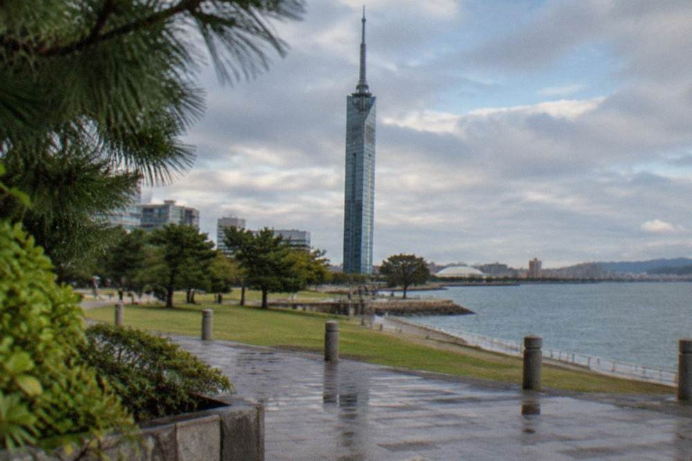 Observation windows at the top of Fukuoka Tower overlooking Hakata Bay and the city skyline