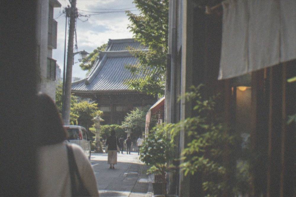 A traditional wooden temple hall with tiled roof seen through trees in Hakata.