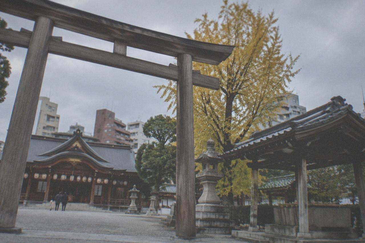 Kushida Shrine main hall with lanterns and trees in central Fukuoka