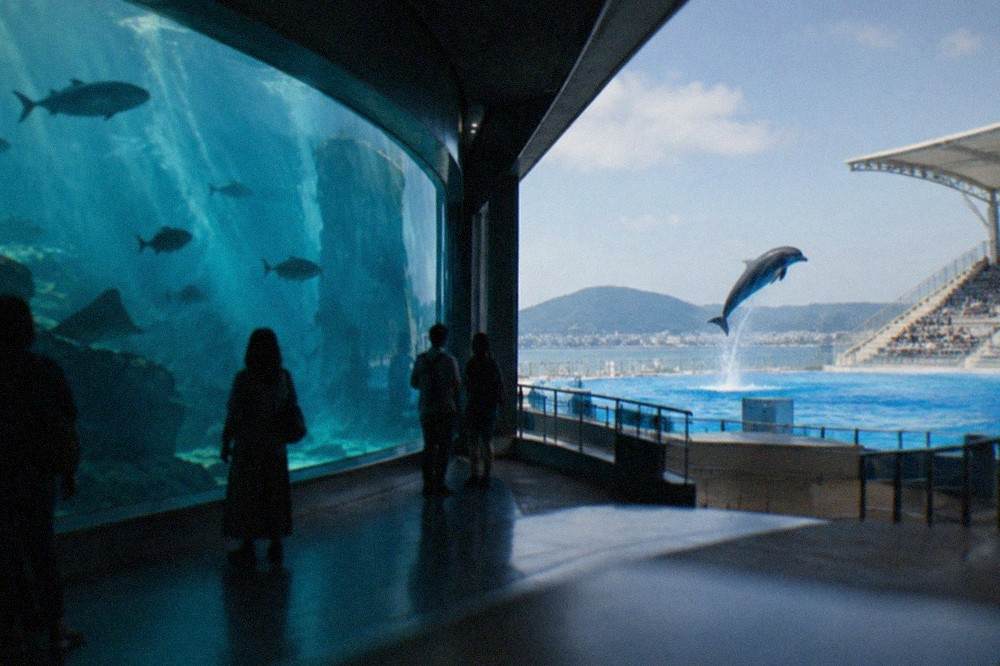 A dolphin mid-leap above a blue outdoor pool with a stadium of tiered seating behind it