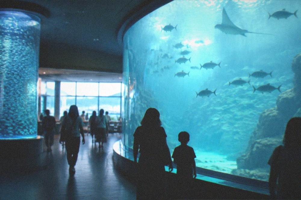 An aquarium lobby with a tall cylindrical tank of small silver fish and visitors walking past a curved glass wall