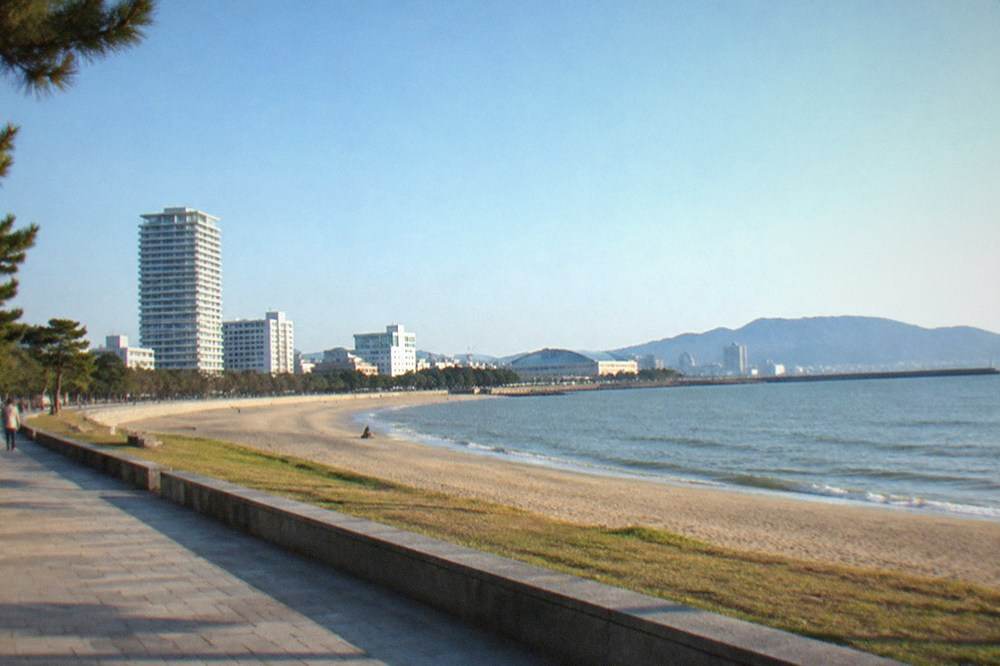 Palm-lined beach promenade under a clear blue sky