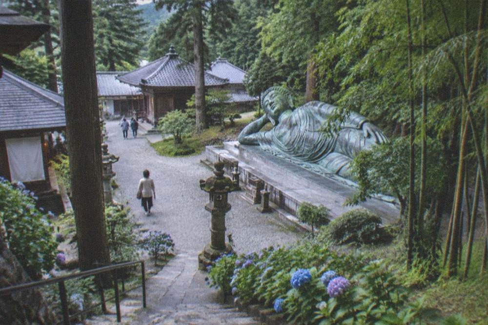 A quiet temple courtyard with stone lanterns and soft afternoon light