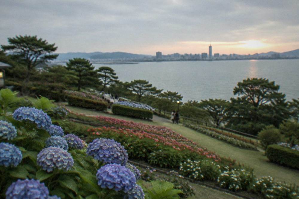A bay panorama at sunset with a city skyline silhouetted across the water