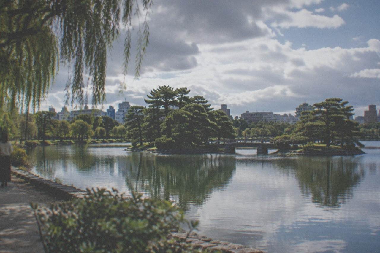 A large pond with islands and pine trees reflecting in still water at a city park