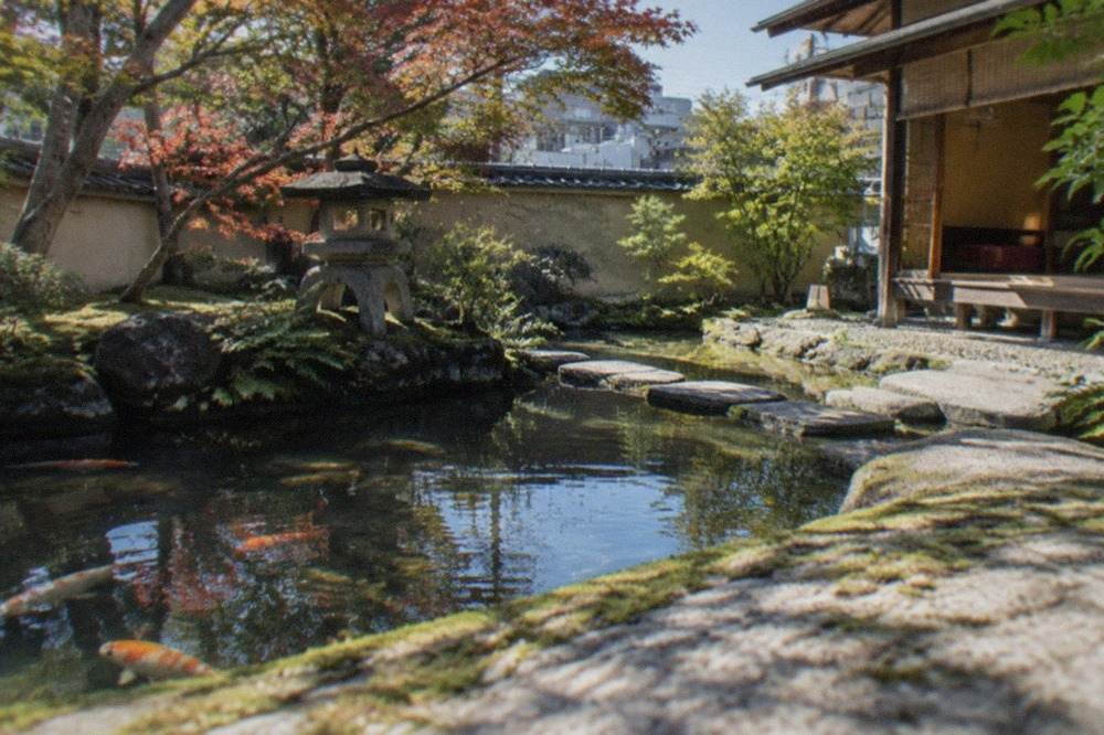 A quiet Japanese garden with a pond, stone lantern and maple trees beside a wooden teahouse