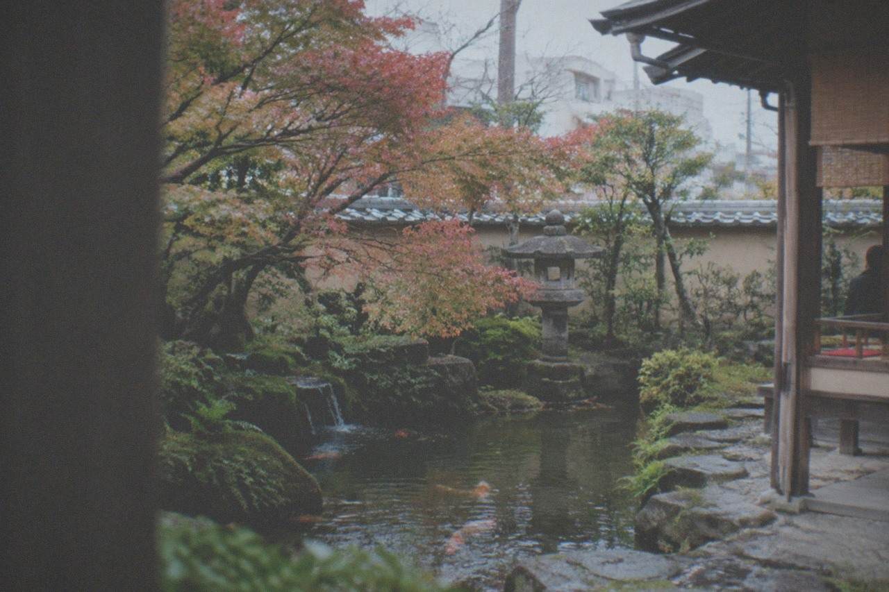 A quiet Japanese garden with a pond, stone lantern and maple trees beside a wooden teahouse