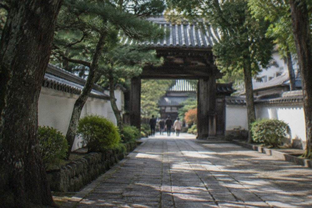 A stone path approaching a dark wooden temple gate under tall trees