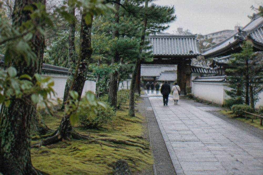 Moss covering the ground beneath old trees in a temple courtyard