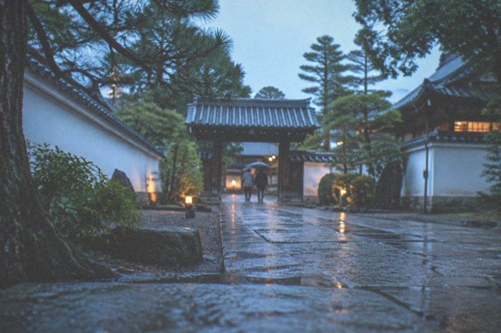 A quiet temple courtyard with wet stone paths after rain