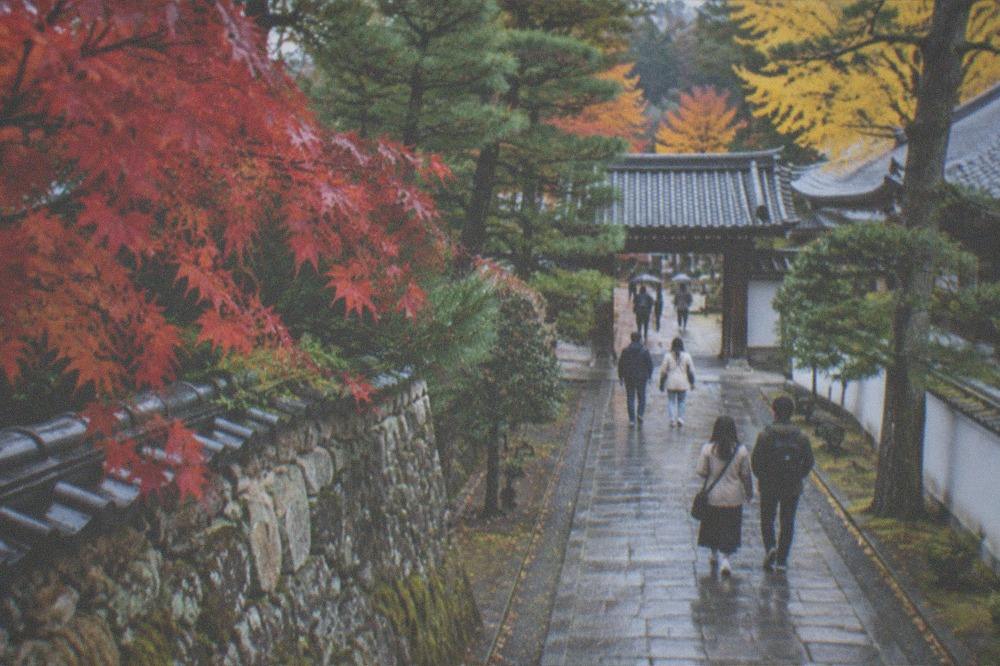 Autumn maple leaves over a stone temple wall