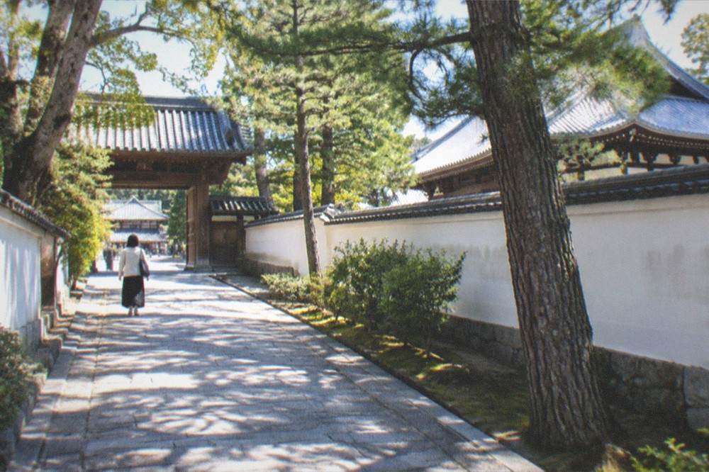 A visitor walking alone along a temple path beneath tall trees