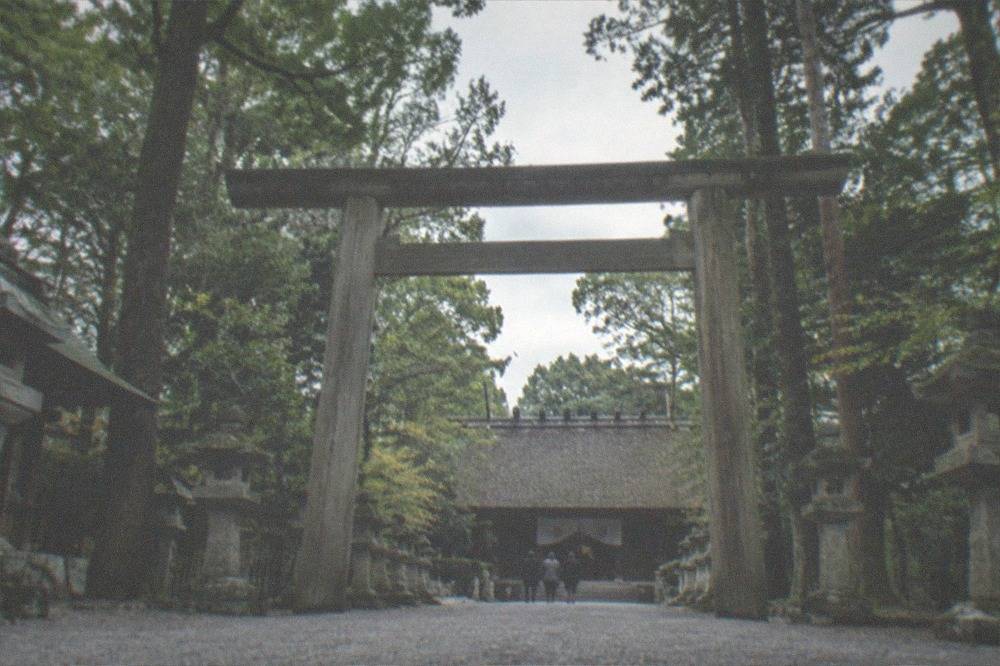 Old stone lanterns lining a quiet path at a Shinto shrine in Fukuoka
