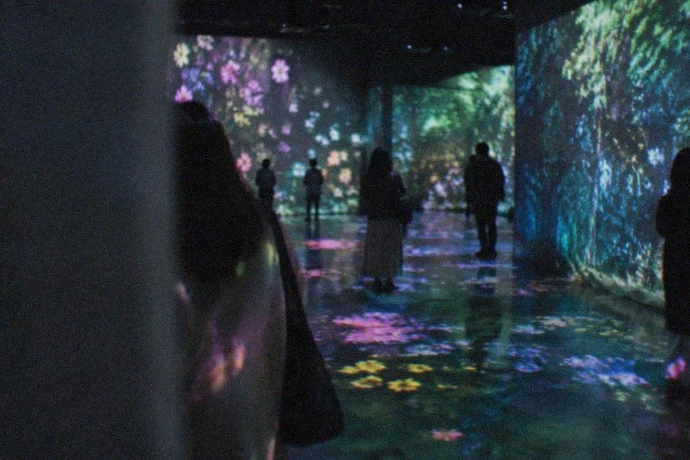 A dark gallery room where projected flowers and glowing forest light cover the walls and floor