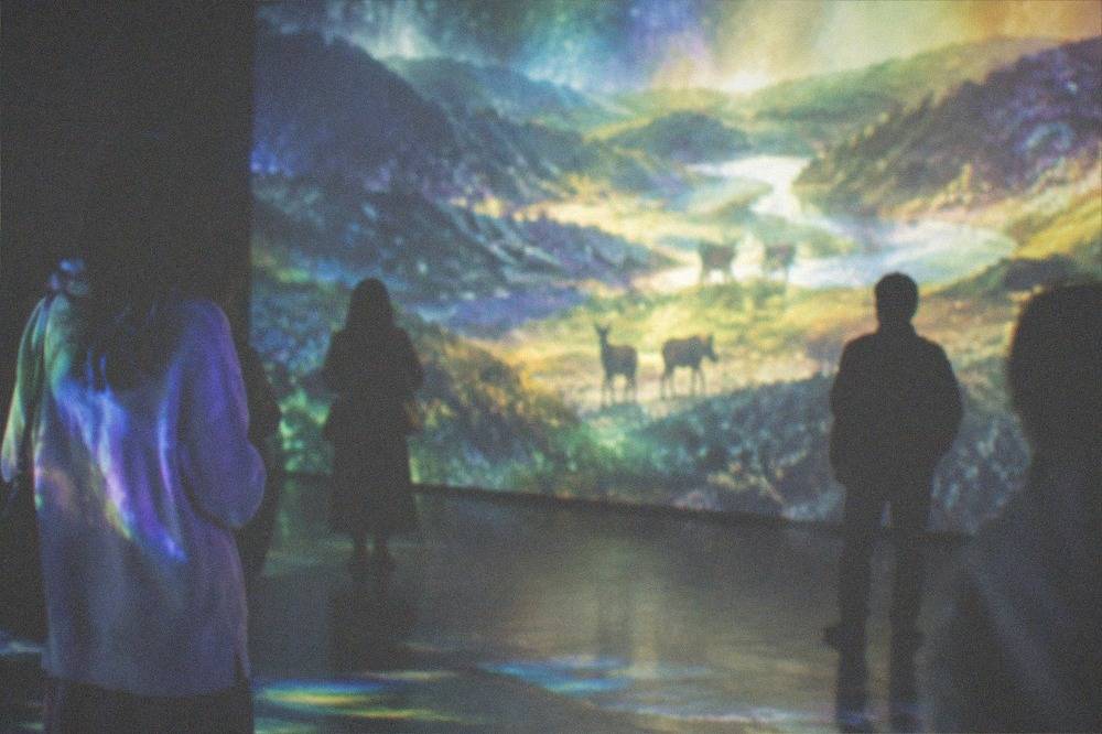 A projected landscape of glowing valleys and animals covering a dark gallery wall