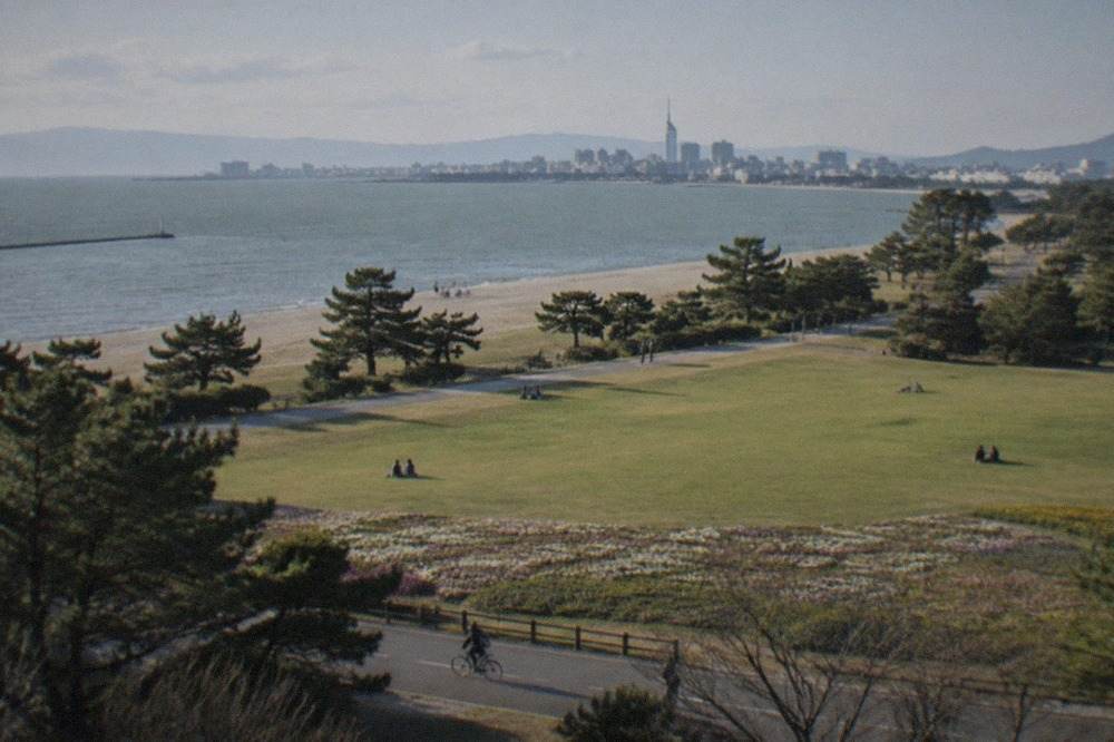 A broad green park lawn stretching toward a calm bay, with a sandy beach and a distant city skyline across the water
