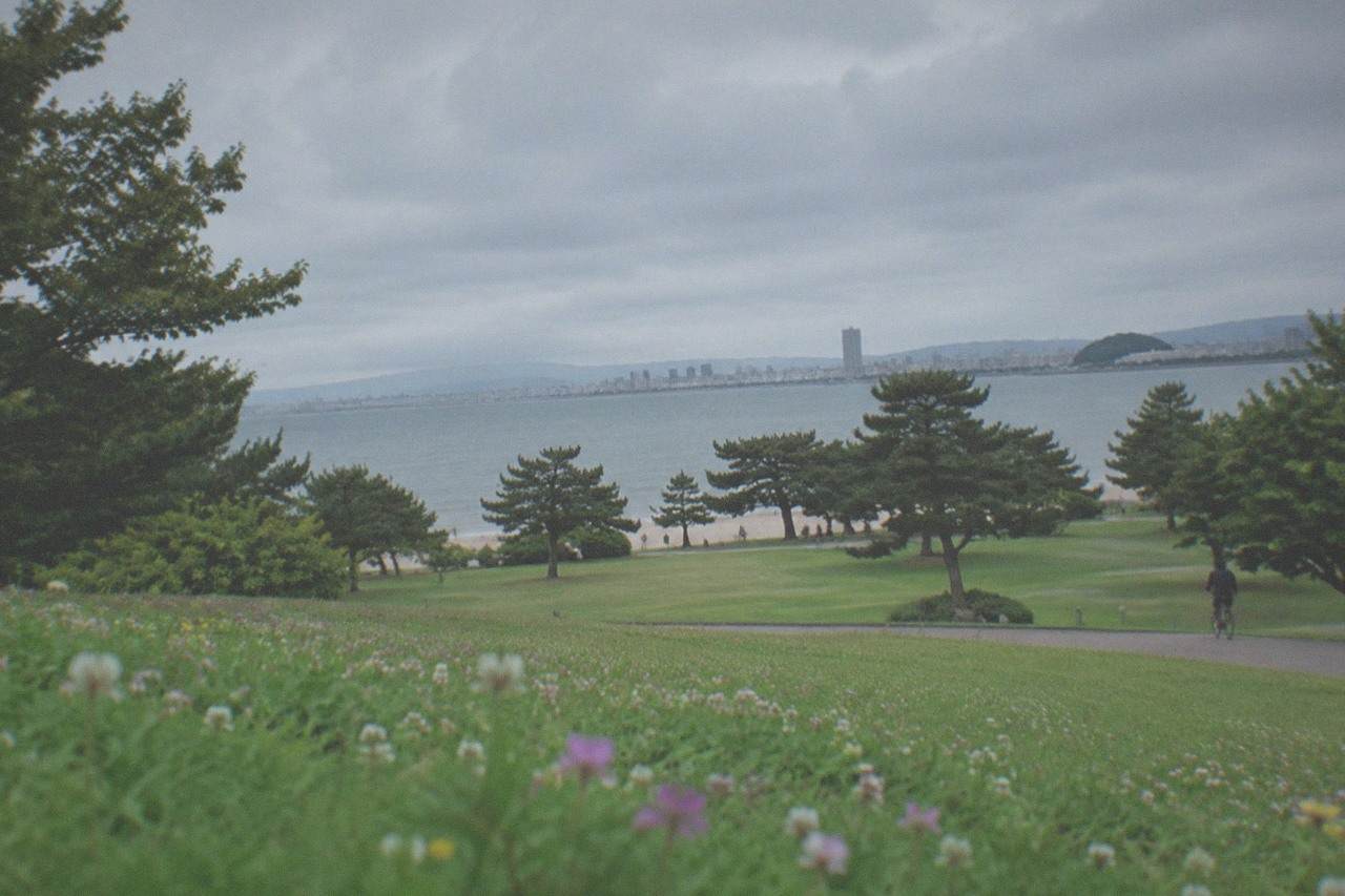 A wide seaside park lawn ending at a calm bay with a sandy swimming beach and distant city skyline