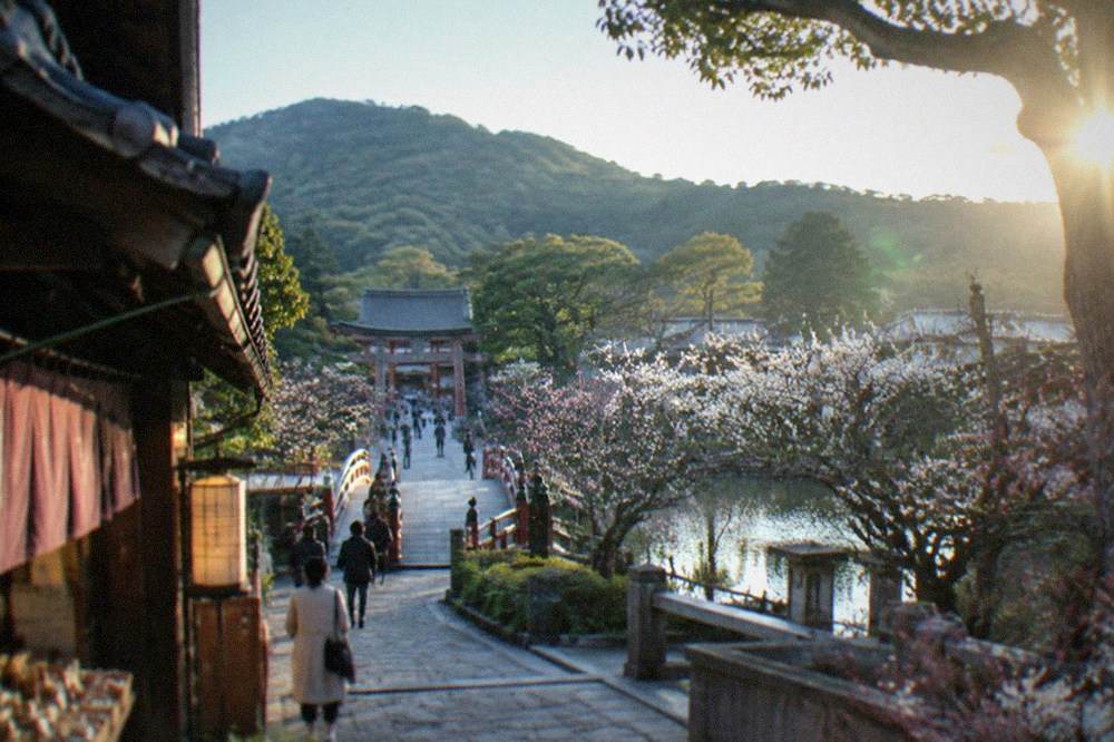 An arched wooden bridge crossing a pond toward a shrine gate
