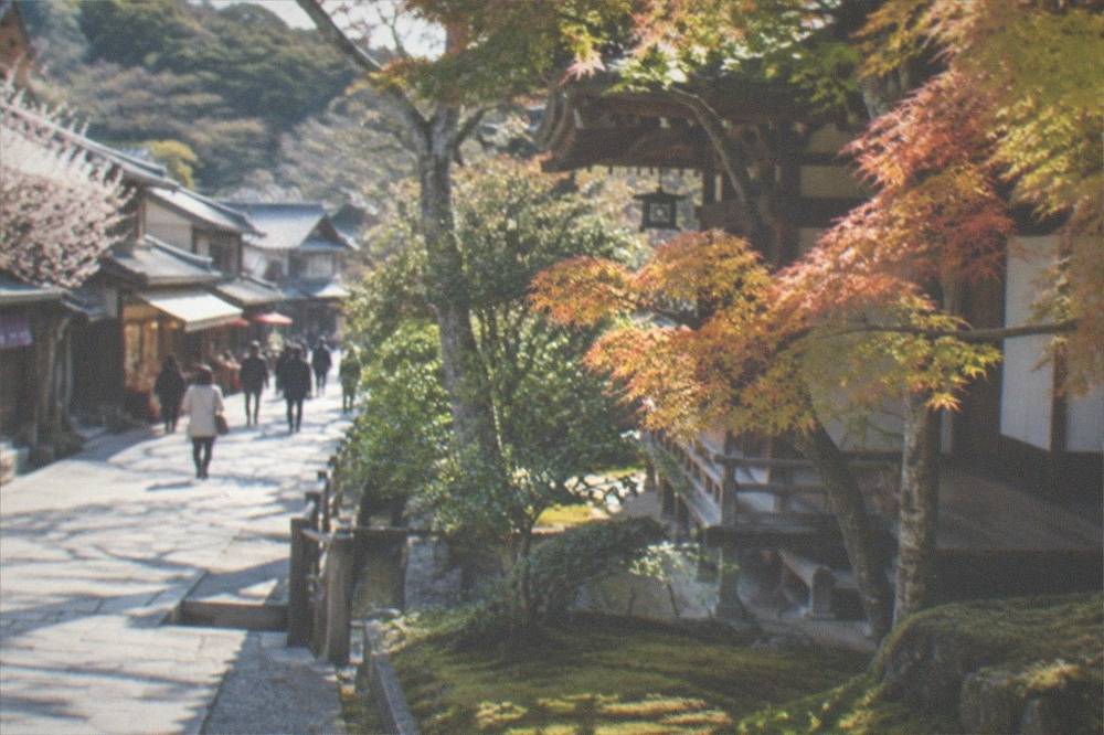 A moss garden with maple trees in front of a wooden temple building