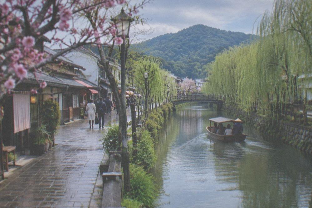 A low boat gliding along a canal lined with willow trees