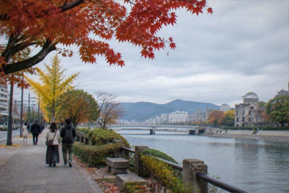 Maple leaves in red and orange above a park path in autumn