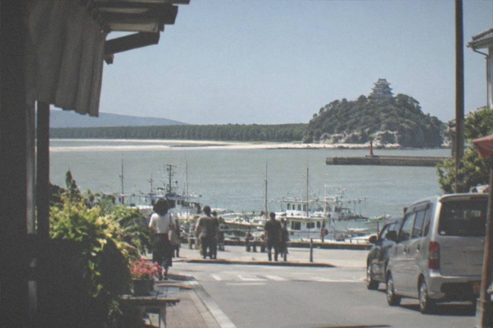 A long sandbar covered in dark pine trees, curving along a calm bay under a clear sky