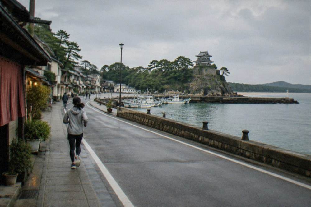 A stone-walled castle terrace above the sea, with pine trees and a wide bay beyond