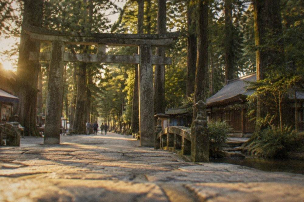 A stone torii gate at the entrance to a forested shrine approach