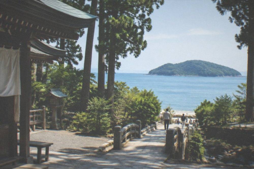 A coastal view of a green island across calm sea from a mainland headland