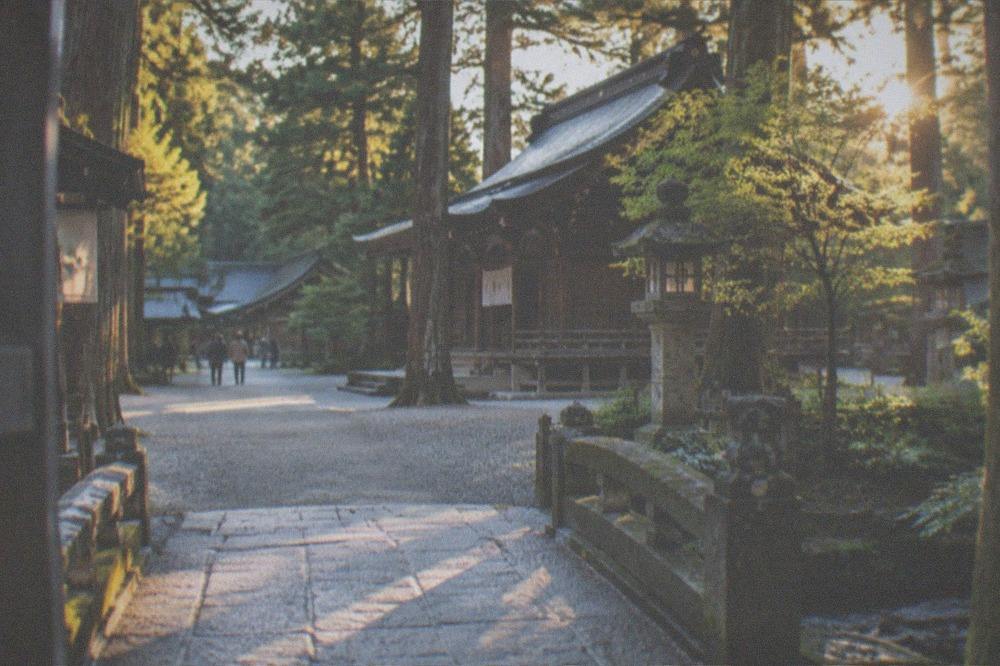 A quiet shrine courtyard with a wooden hall and stone lanterns under trees
