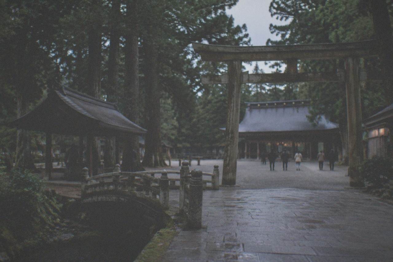 A torii gate and shrine pavilion set among tall trees at Munakata Taisha