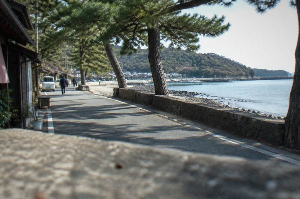 A narrow road running along a sandbar with calm bay water on one side and pine trees overhead