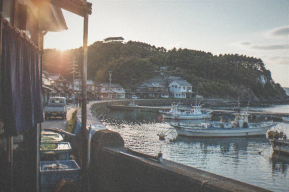 A small fishing harbour with moored boats and low houses behind a seawall