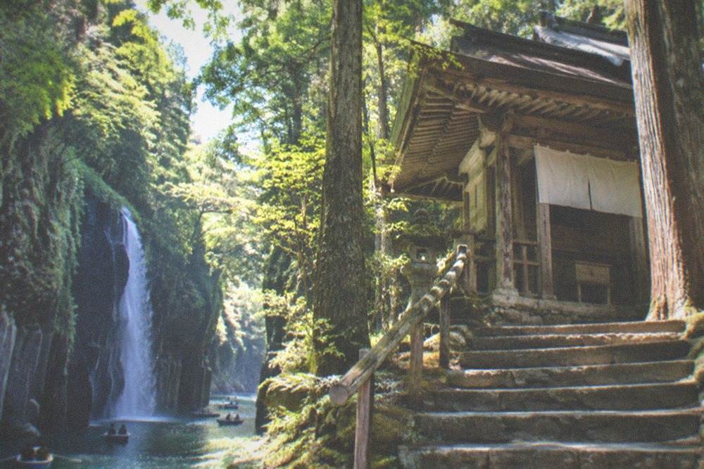 A weathered wooden shrine building standing among tall cedar trees with stone steps approaching it