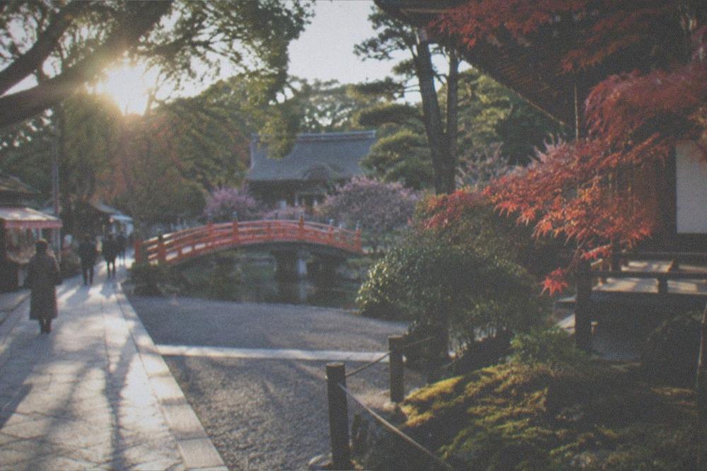 Red maple leaves over a moss garden beside a wooden temple building