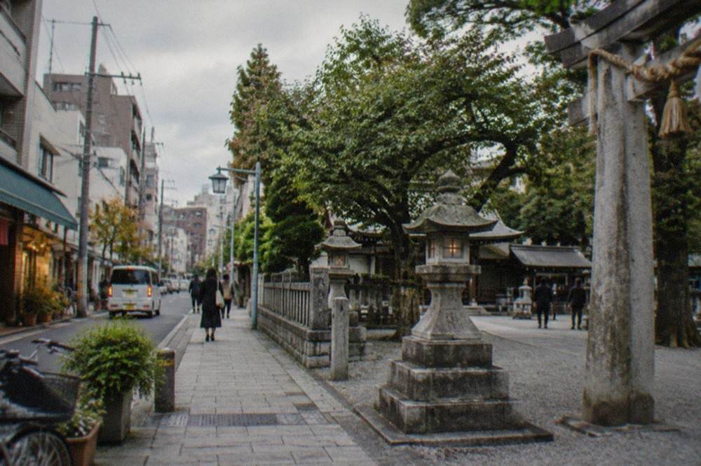 Shrine grounds with stone lanterns, gravel path and trees