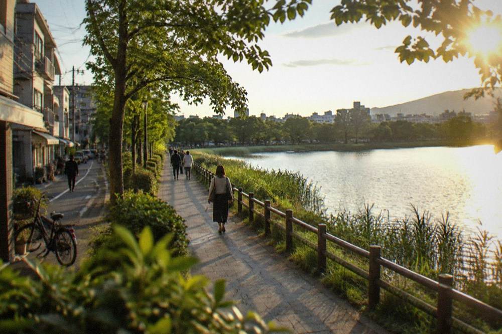 Flat paved walking path along a calm park lake with reeds and trees